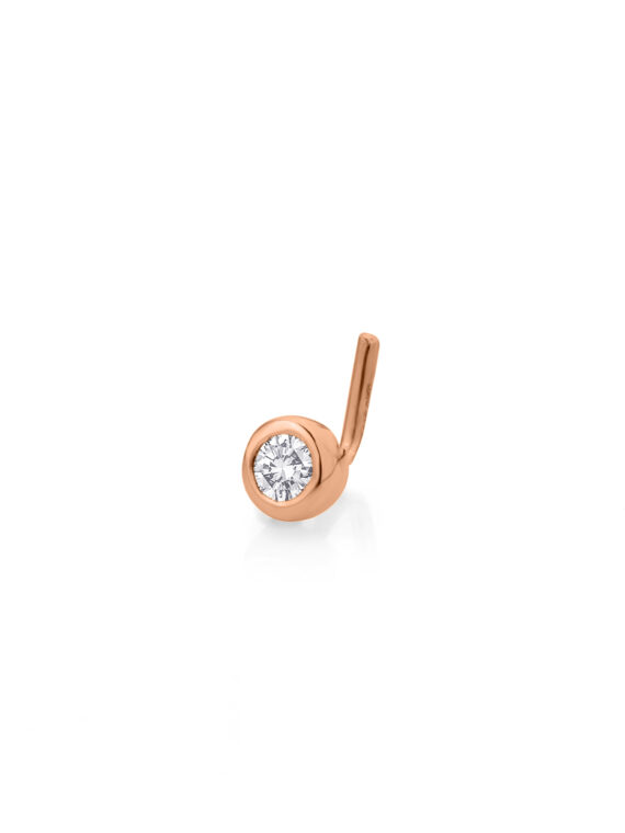 Nasepiercing PNG15