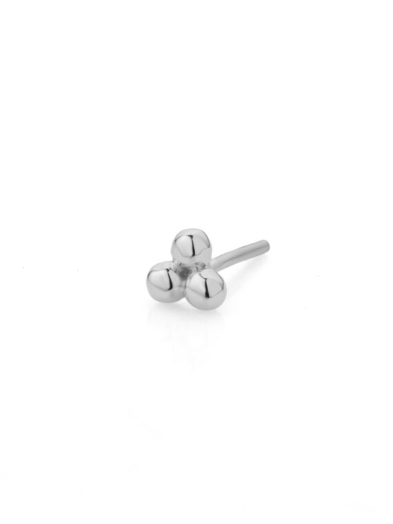 Nasepiercing PNG16
