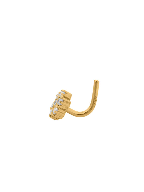 NASEPIERCING PNG20