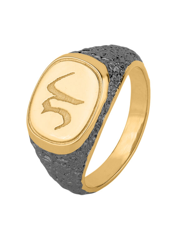 BICOLOR NAMENSRING