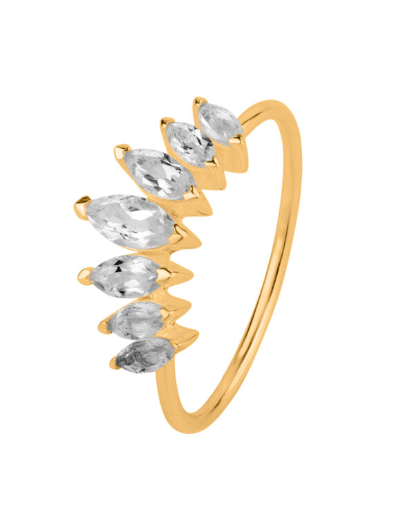 Ring RAQUEL