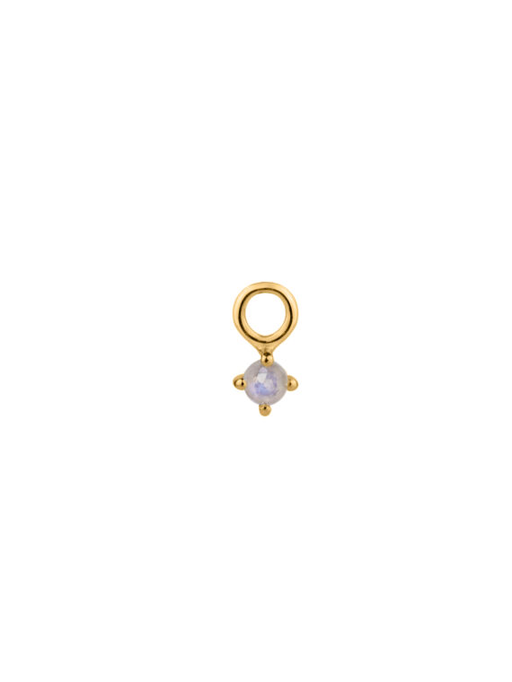 CHARM SABINA