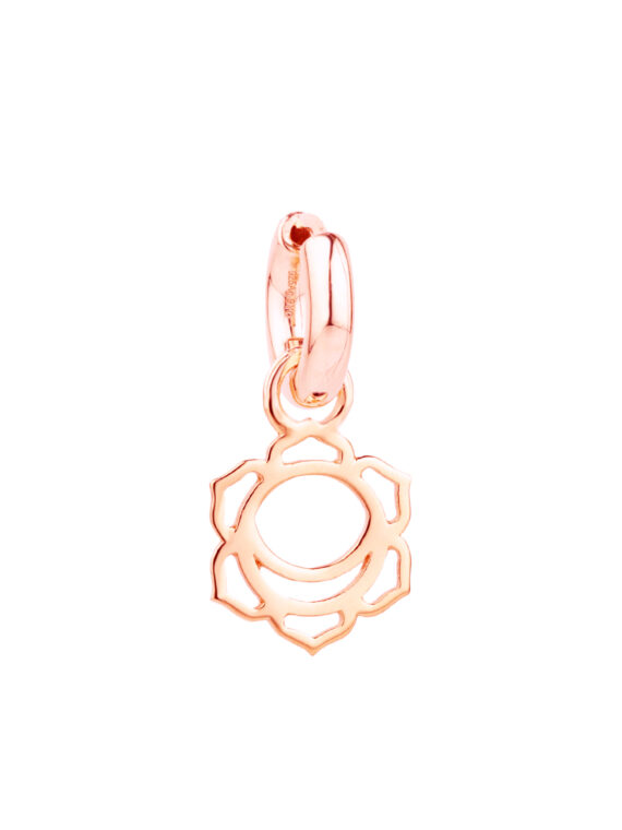 CHARM028
