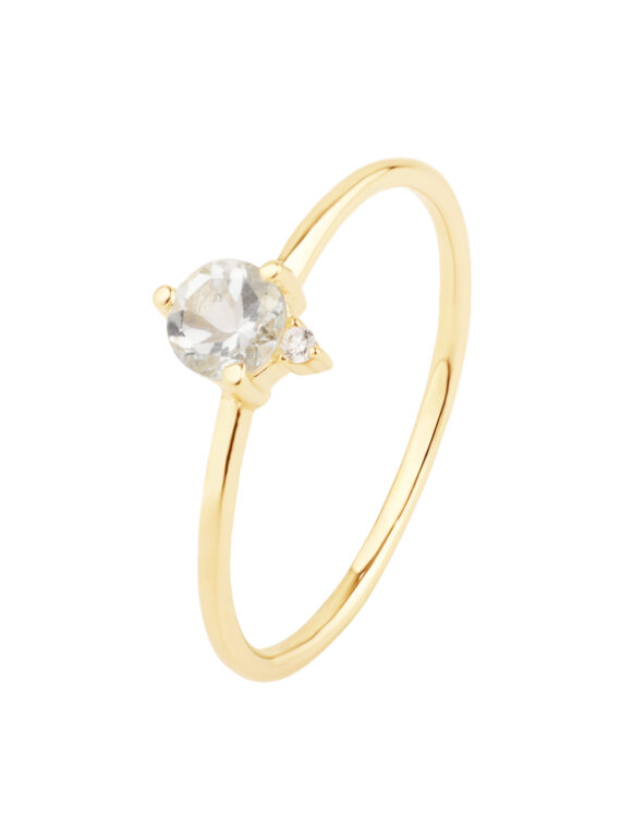 Ring ILVY Gold & Silber