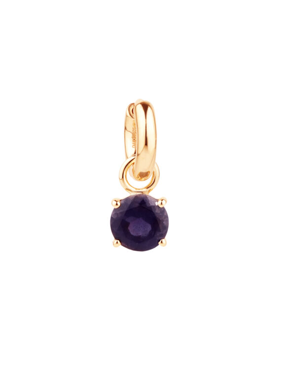 Charm IOLIT 8 mm Gold & Silber