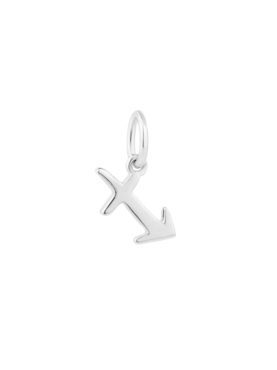 Sternzeichen Charm Schütze/Sagittarius