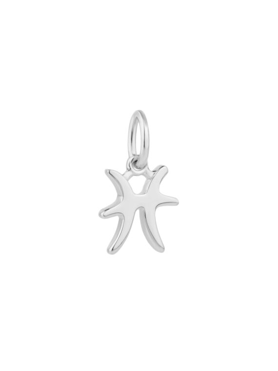 Sternzeichen Charm FISCHE/PISCES