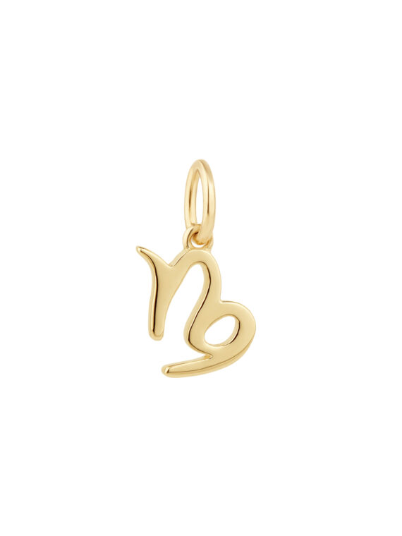 Sternzeichen Charm STEINBOCK/CAPRICORN