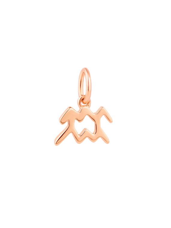 Sternzeichen Charm WASSERMANN/AQUARIUS