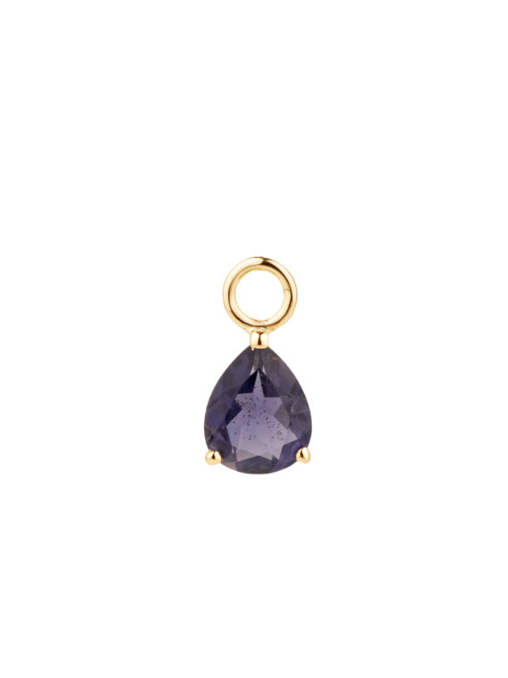 Charm IOLIT 10 mm Gold & Silber